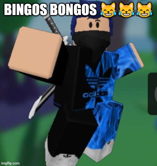 MR BEEEEEAAAAAA | BINGOS BONGOS 😹😹😹 | image tagged in mr beeeeeaaaaaa | made w/ Imgflip meme maker