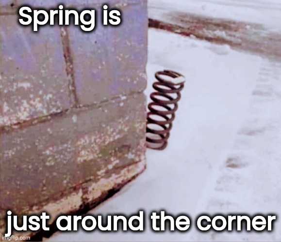 An Annual Event | Spring is; just around the corner | image tagged in spring forward,seasons,daylight savings time,brace yourselves x is coming | made w/ Imgflip meme maker