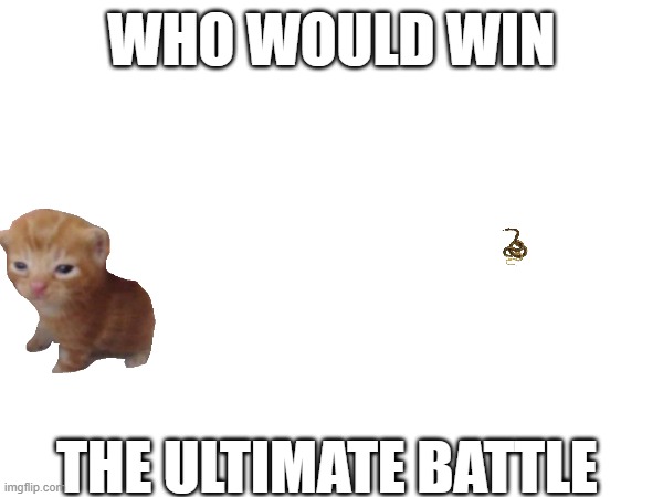 Choose now | WHO WOULD WIN; THE ULTIMATE BATTLE | image tagged in herbert the pervert,snake | made w/ Imgflip meme maker