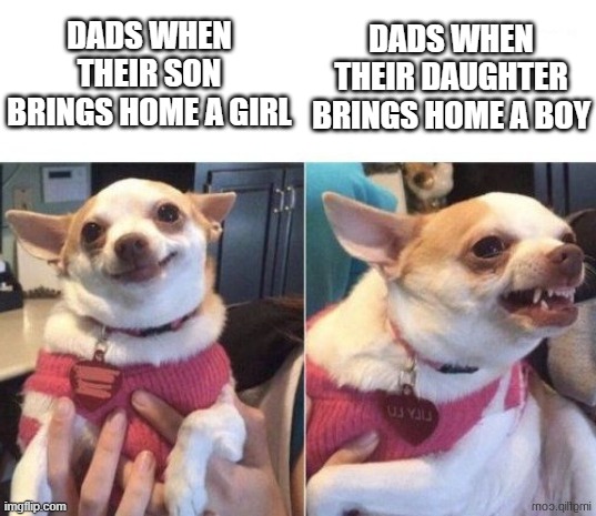 Dads in a nutshell | DADS WHEN THEIR DAUGHTER BRINGS HOME A BOY; DADS WHEN THEIR SON BRINGS HOME A GIRL | image tagged in happy dog then angry dog | made w/ Imgflip meme maker