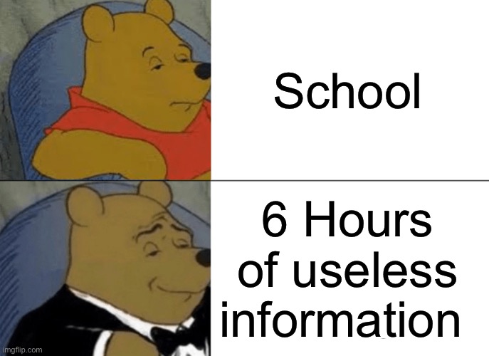 Tuxedo Winnie The Pooh Meme | School; 6 Hours of useless information | image tagged in memes,tuxedo winnie the pooh | made w/ Imgflip meme maker