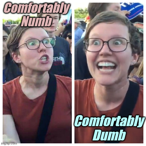 'liberal' Triggered and Elated | Comfortably Numb Comfortably Dumb | image tagged in 'liberal' triggered and elated | made w/ Imgflip meme maker