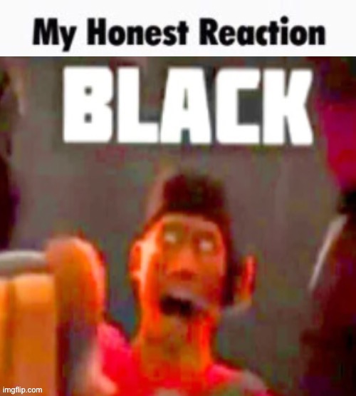 My honest reaction | image tagged in my honest reaction | made w/ Imgflip meme maker