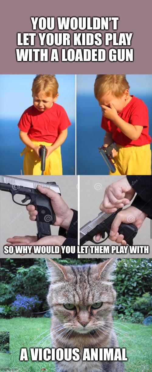 YOU WOULDN’T LET YOUR KIDS PLAY WITH A LOADED GUN; SO WHY WOULD YOU LET THEM PLAY WITH; A VICIOUS ANIMAL | image tagged in crying kid with gun,loading gun,mad cat | made w/ Imgflip meme maker