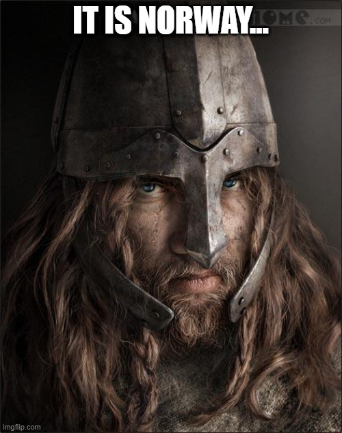 viking | IT IS NORWAY... | image tagged in viking | made w/ Imgflip meme maker