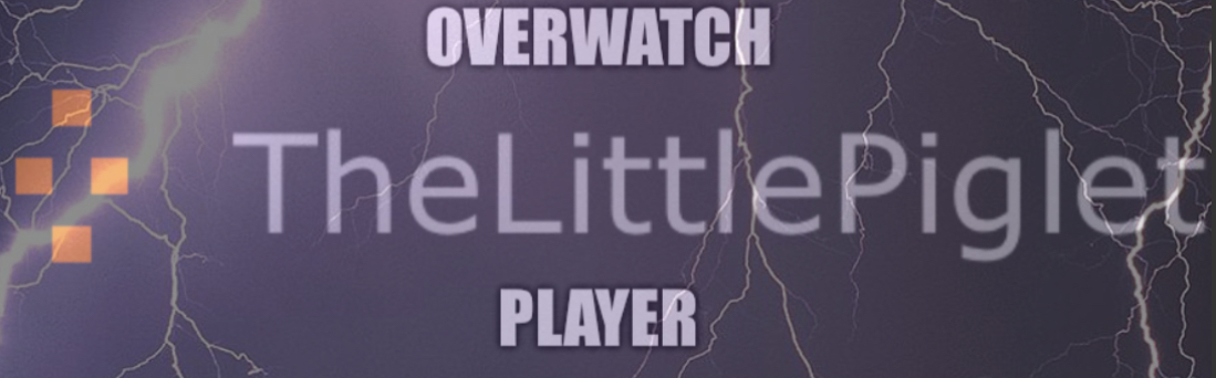 Said the overwatch player Blank Meme Template