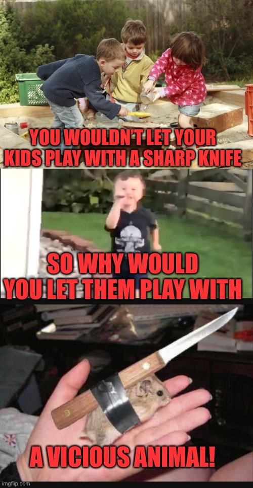 YOU WOULDN’T LET YOUR KIDS PLAY WITH A SHARP KNIFE; SO WHY WOULD YOU LET THEM PLAY WITH; A VICIOUS ANIMAL! | image tagged in kids at play,a knife,lock and load hamster | made w/ Imgflip meme maker