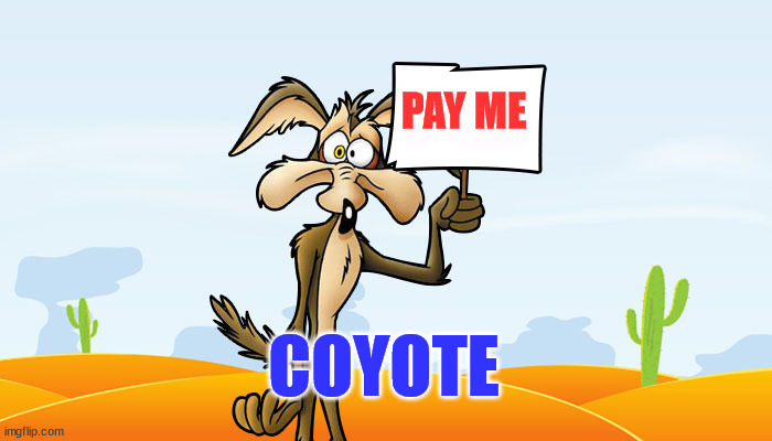 Wile E. Coyote Sign | PAY ME COYOTE | image tagged in wile e coyote sign | made w/ Imgflip meme maker