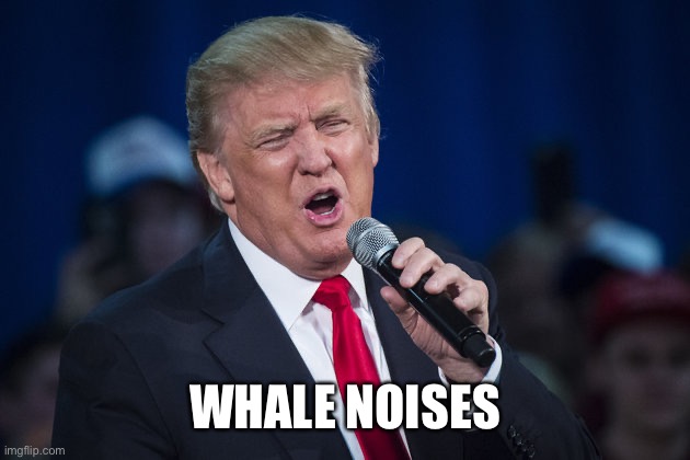 trump singing | WHALE NOISES | image tagged in trump singing | made w/ Imgflip meme maker