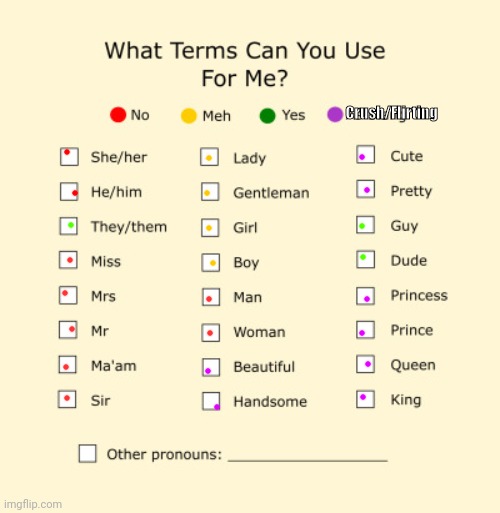 Pronouns Sheet | Crush/Flirting | image tagged in pronouns sheet | made w/ Imgflip meme maker