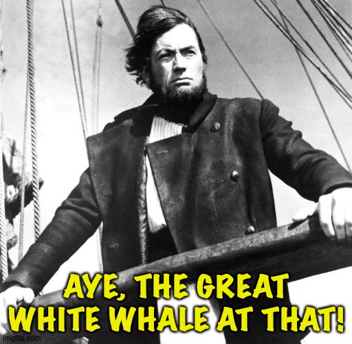 Captain Ahab | AYE, THE GREAT WHITE WHALE AT THAT! | image tagged in captain ahab | made w/ Imgflip meme maker