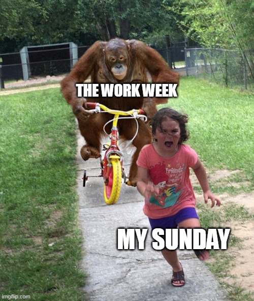 The work week | THE WORK WEEK; MY SUNDAY | image tagged in orangutan chasing girl on a tricycle,funny,week,work,sunday,work week | made w/ Imgflip meme maker