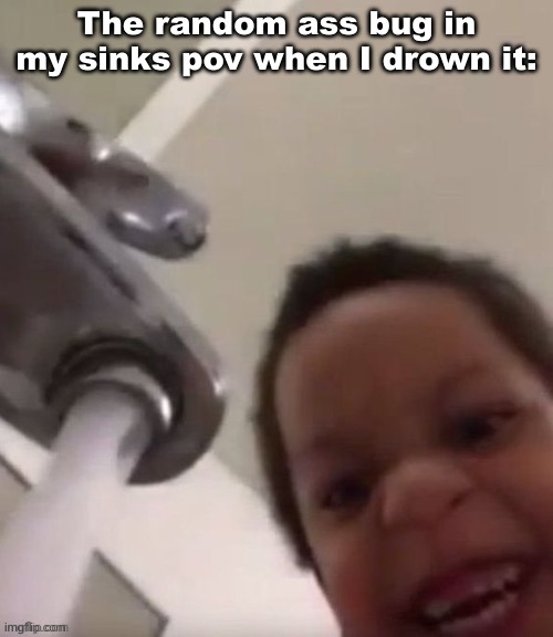. | The random ass bug in my sinks pov when I drown it: | made w/ Imgflip meme maker