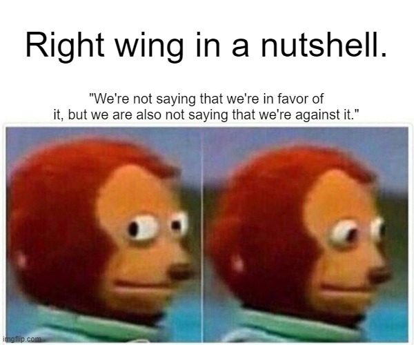 Silence is the loudest speaker of the Right Wing. | Right wing in a nutshell. "We're not saying that we're in favor of it, but we are also not saying that we're against it." | image tagged in memes,monkey puppet,awkward,misogyny,homophobia,hypocrisy | made w/ Imgflip meme maker