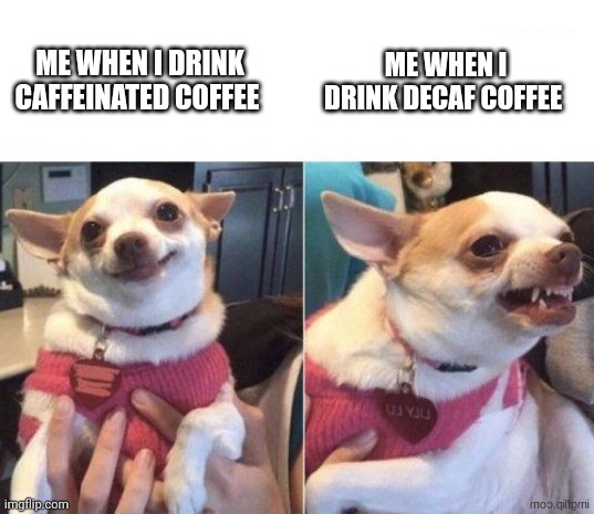 Decaf gives me rage | ME WHEN I DRINK DECAF COFFEE; ME WHEN I DRINK CAFFEINATED COFFEE | image tagged in happy dog then angry dog | made w/ Imgflip meme maker