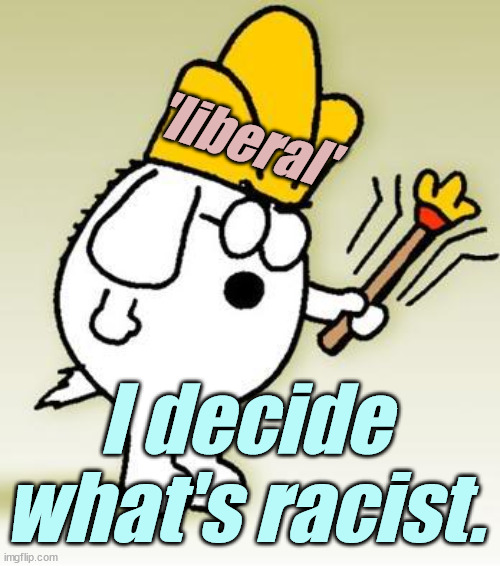 Dogbert | 'liberal' I decide what's racist. | image tagged in dogbert | made w/ Imgflip meme maker