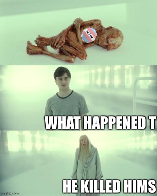 Whoops I misplaced the text again!silly me ? | WHAT HAPPENED T; HE KILLED HIMS | image tagged in dead baby voldemort / what happened to him,balls,2 genders,cry about it | made w/ Imgflip meme maker