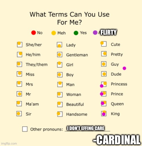 Pronouns Sheet | FLIRTY; I DON’T EFFING CARE; -CARDINAL | image tagged in pronouns sheet | made w/ Imgflip meme maker