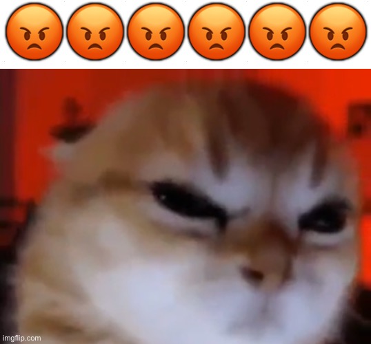 Gato | 😡😡😡😡😡😡 | made w/ Imgflip meme maker