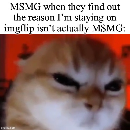 Real | MSMG when they find out the reason I’m staying on imgflip isn’t actually MSMG: | made w/ Imgflip meme maker
