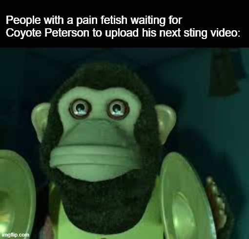 Toy Story Monkey | People with a pain fetish waiting for Coyote Peterson to upload his next sting video: | image tagged in toy story monkey,coyote peterson,memes | made w/ Imgflip meme maker