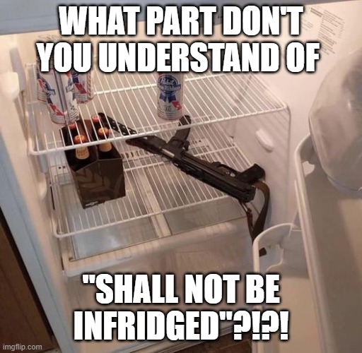 2A Shall Not Be Infridged | WHAT PART DON'T YOU UNDERSTAND OF; "SHALL NOT BE INFRIDGED"?!?! | image tagged in 2a,shall not be infridged,gun | made w/ Imgflip meme maker
