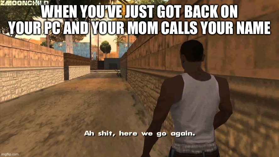You know you are in trouble | WHEN YOU’VE JUST GOT BACK ON YOUR PC AND YOUR MOM CALLS YOUR NAME | image tagged in here we go again | made w/ Imgflip meme maker