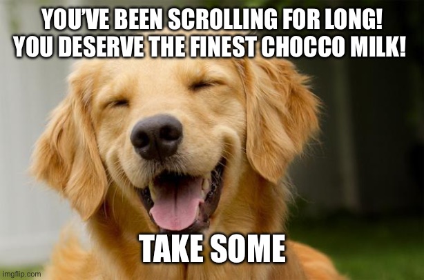 Chocco milk | YOU’VE BEEN SCROLLING FOR LONG! YOU DESERVE THE FINEST CHOCCO MILK! TAKE SOME | image tagged in happy dog | made w/ Imgflip meme maker