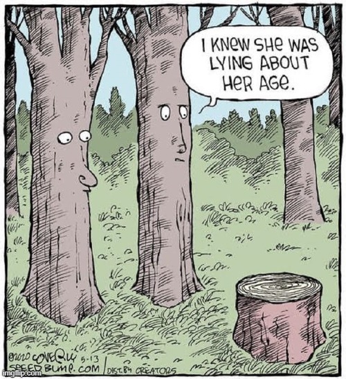 What Did One Tree Say to the Other Tree? | image tagged in vince vance,when the trees start speaking,memes,comics/cartoons,age,vanity | made w/ Imgflip meme maker