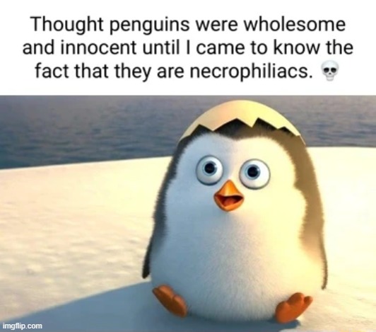 image tagged in penguins,memes,funny | made w/ Imgflip meme maker