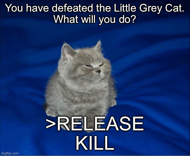 Little Grey Cat - Imgflip