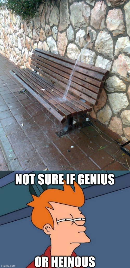 Genius or heinous | NOT SURE IF GENIUS; OR HEINOUS | image tagged in not sure if- fry,genius,heinous | made w/ Imgflip meme maker