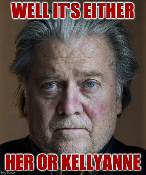 WELL IT'S EITHER HER OR KELLYANNE | made w/ Imgflip meme maker