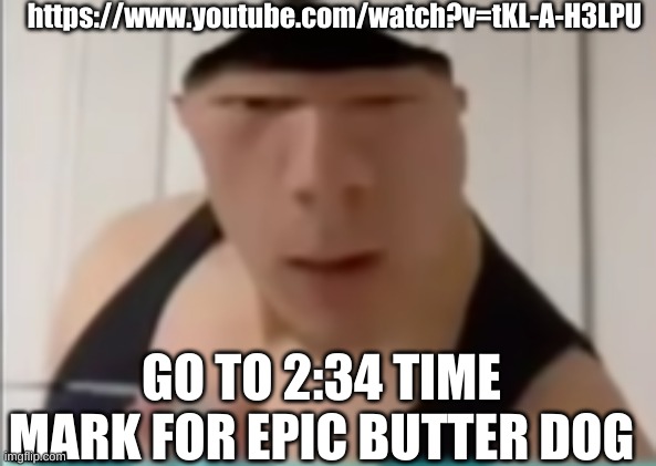 Comment butter dog if you actually watched it. Comment dog with the butter if funny to you | https://www.youtube.com/watch?v=tKL-A-H3LPU; GO TO 2:34 TIME MARK FOR EPIC BUTTER DOG | image tagged in random dude | made w/ Imgflip meme maker