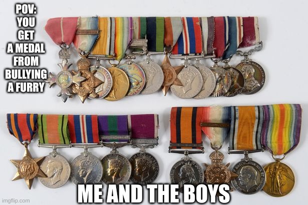 Furrys suck | POV: YOU GET A MEDAL FROM BULLYING A FURRY; ME AND THE BOYS | image tagged in medals,furry,me and the boys,funny,memes,funny memes | made w/ Imgflip meme maker