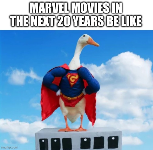 Super duck |  MARVEL MOVIES IN THE NEXT 20 YEARS BE LIKE | image tagged in duck,funny,movies | made w/ Imgflip meme maker