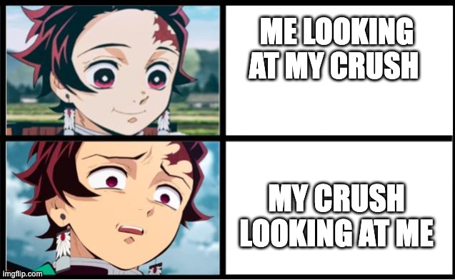 Tanjiro approval | ME LOOKING AT MY CRUSH; MY CRUSH LOOKING AT ME | image tagged in tanjiro approval | made w/ Imgflip meme maker