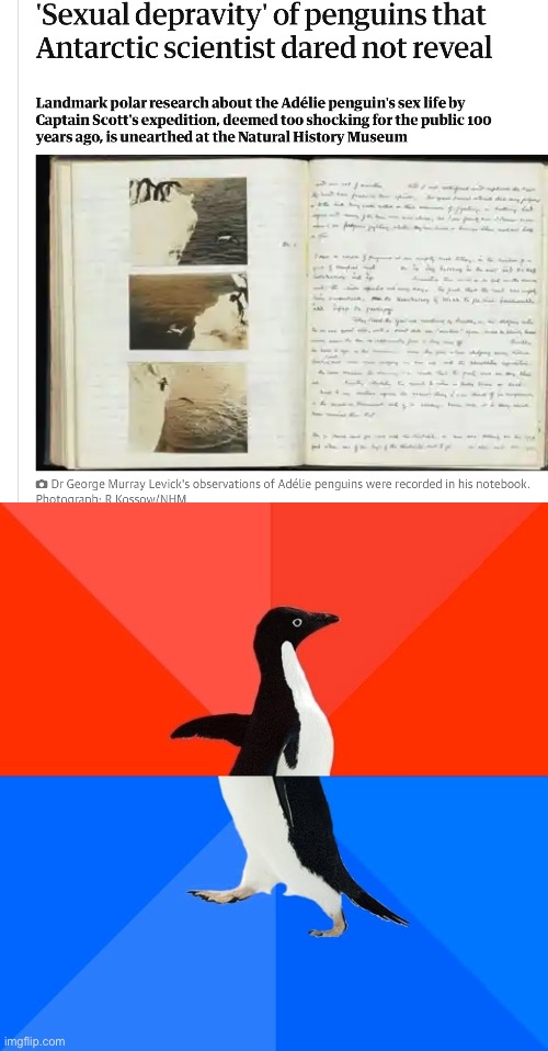 Depraved penguins | image tagged in memes,socially awesome awkward penguin,depraved,criminals | made w/ Imgflip meme maker
