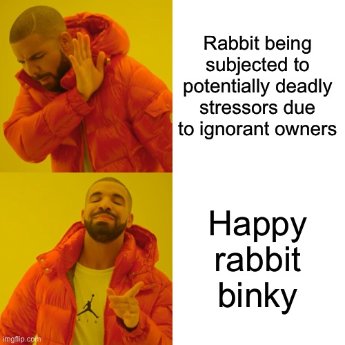 Drake Hotline Bling Meme | Rabbit being subjected to potentially deadly stressors due to ignorant owners; Happy rabbit binky | image tagged in memes,drake hotline bling | made w/ Imgflip meme maker