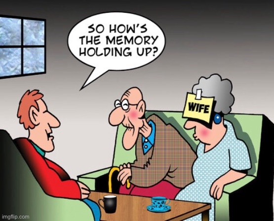 Old man | image tagged in old man,how is the memory,wife,comics | made w/ Imgflip meme maker