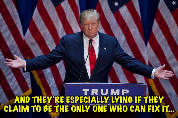 Donald Trump | AND THEY'RE ESPECIALLY LYING IF THEY CLAIM TO BE THE ONLY ONE WHO CAN FIX IT... | image tagged in donald trump | made w/ Imgflip meme maker