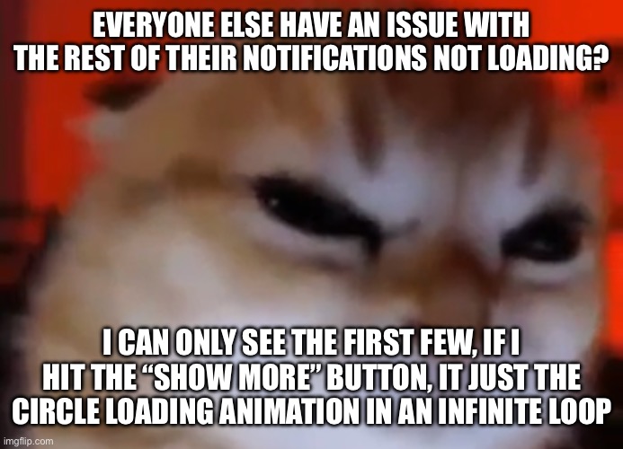 It might just be me, or maybe the mobile website platform just doesn’t support it | EVERYONE ELSE HAVE AN ISSUE WITH THE REST OF THEIR NOTIFICATIONS NOT LOADING? I CAN ONLY SEE THE FIRST FEW, IF I HIT THE “SHOW MORE” BUTTON, IT JUST THE CIRCLE LOADING ANIMATION IN AN INFINITE LOOP | made w/ Imgflip meme maker