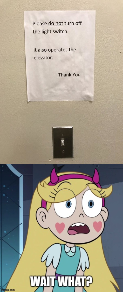 image tagged in star butterfly wait what,you had one job,memes,star vs the forces of evil,funny | made w/ Imgflip meme maker