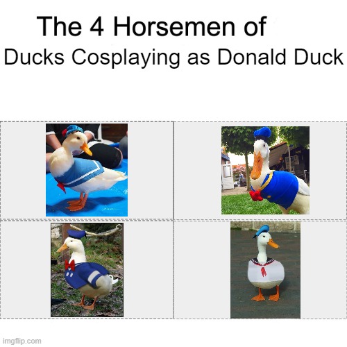 What's the best one? | Ducks Cosplaying as Donald Duck | image tagged in four horsemen,ducks,cosplay,memes,funny | made w/ Imgflip meme maker
