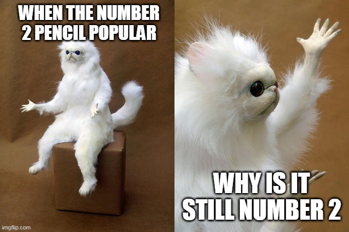 Persian Cat Room Guardian Meme | WHEN THE NUMBER 2 PENCIL POPULAR; WHY IS IT STILL NUMBER 2 | image tagged in memes,persian cat room guardian | made w/ Imgflip meme maker