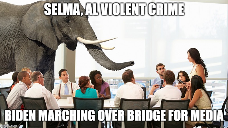 Elephant in the room | SELMA, AL VIOLENT CRIME; BIDEN MARCHING OVER BRIDGE FOR MEDIA | image tagged in elephant in the room | made w/ Imgflip meme maker