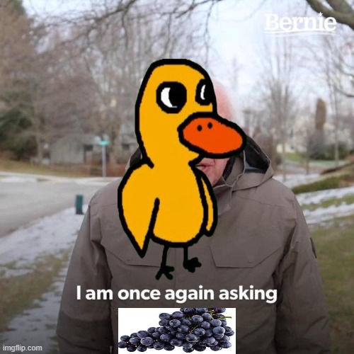 A DUCK WALKED UP TO A LEMONADE STAND | image tagged in memes,bernie i am once again asking for your support | made w/ Imgflip meme maker