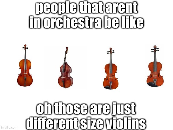 orchestra things | people that arent in orchestra be like; oh those are just different size violins | made w/ Imgflip meme maker
