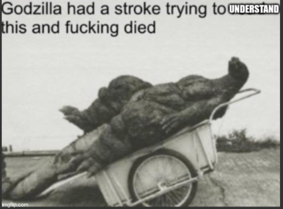 godzilla died | image tagged in godzilla died | made w/ Imgflip meme maker