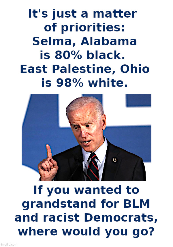 Joe Biden: Doing What He Does Best | image tagged in joe biden,democrats,black lives matter,selma,alabama,east palestine ohio | made w/ Imgflip meme maker